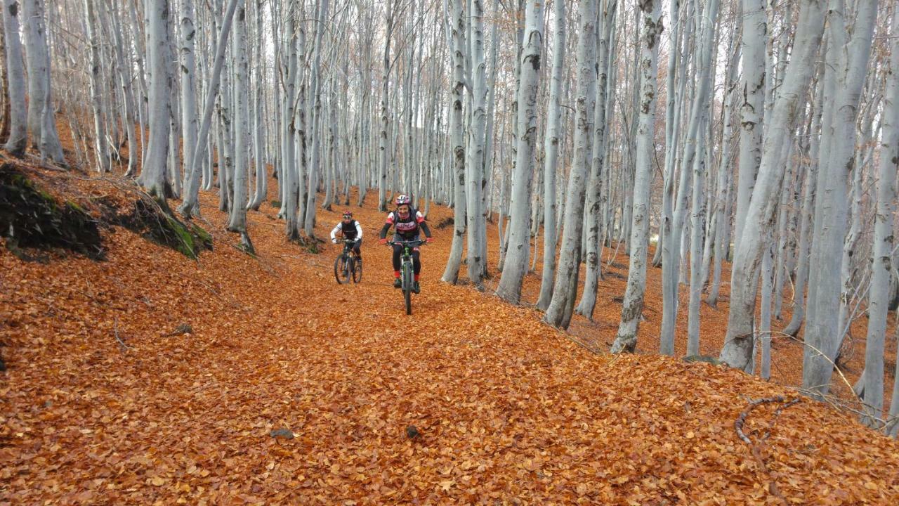 זפראנה אטניאה Etna Bike Holiday מראה חיצוני תמונה